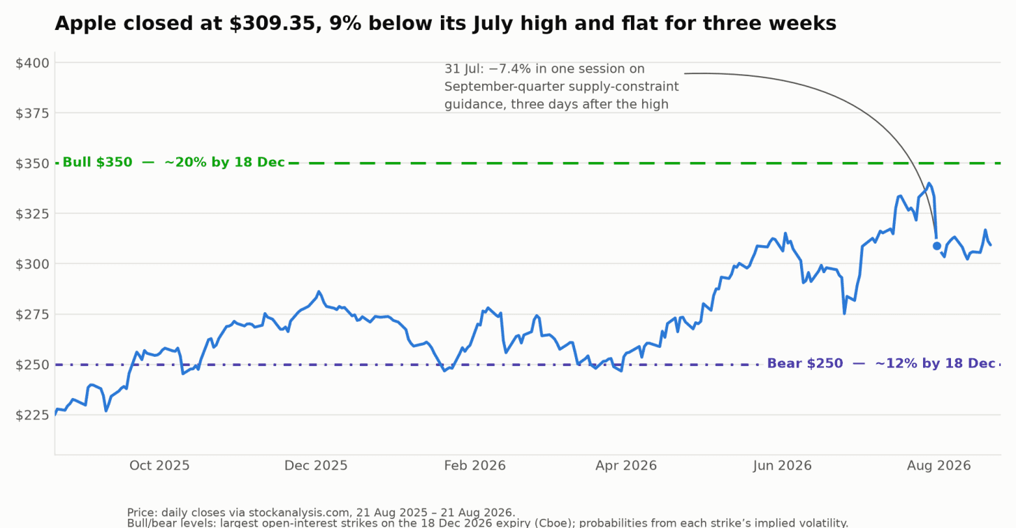 Apple AAPL Stock Prediction: $350 Bull vs $250 Bear